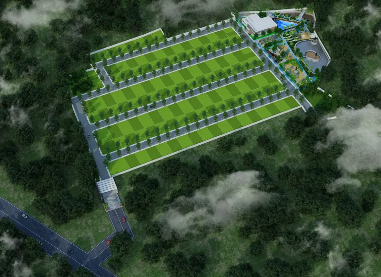 Arial view-min